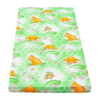 Dziecięcy materac New Baby 120x60 pianka-kokos zielony obrazki