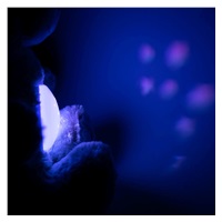 Zabawka przytulanka z projektorem Baby Mix Królik niebieska