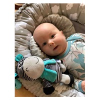 Luksusowe gniazdko z kołderką dla niemowlaka New Baby Serduszko Chmurka