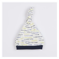 Niemowlęca bawełniana czapka New Baby Summertime chłopiec